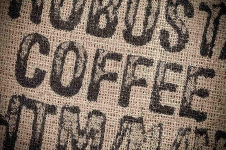 kaffeepflanze deko