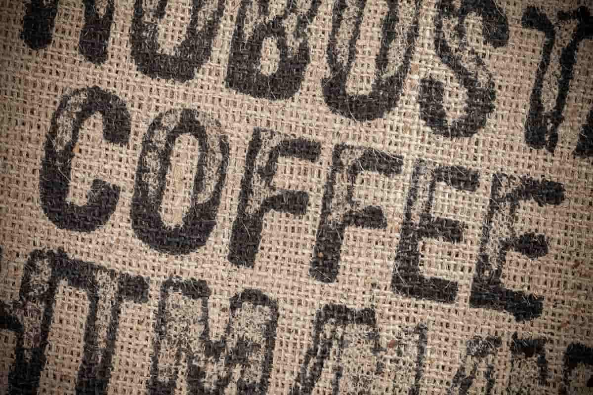 kaffeepflanze deko